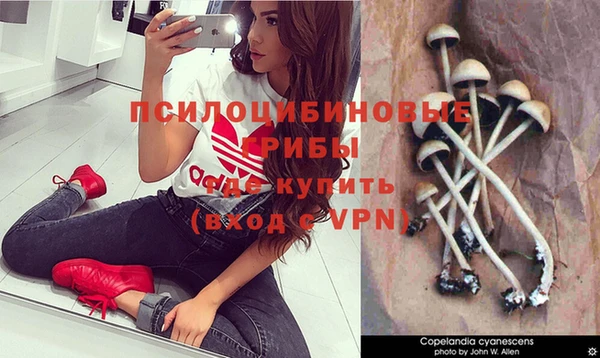 спайс Абинск
