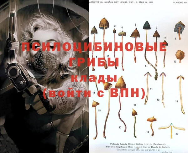 спайс Абинск