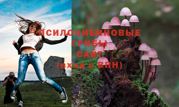 крисы Алексин