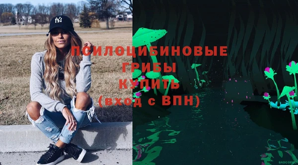 крисы Алексин