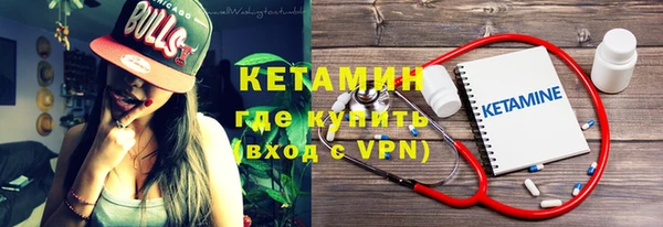 крисы Алексин