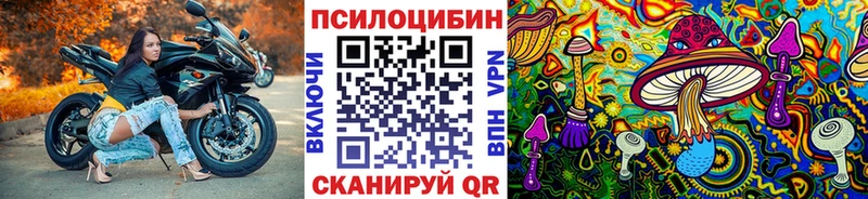 mega как зайти  Курчатов  Галлюциногенные грибы GOLDEN TEACHER  где можно купить  