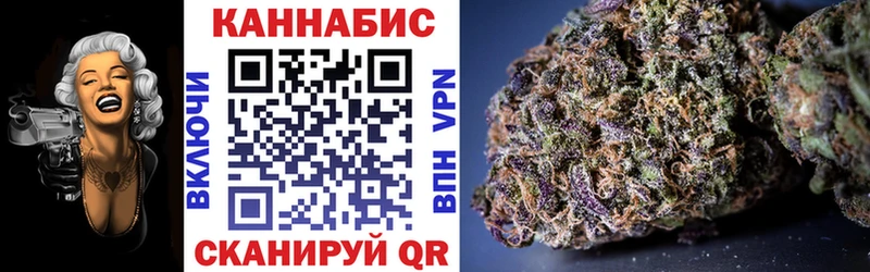 Марихуана план Курчатов